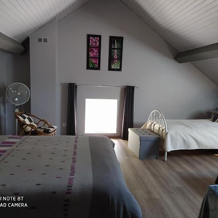 Bed and Breakfast La mansarde aux digitales à La Croix-aux-Mines Extérieur photo
