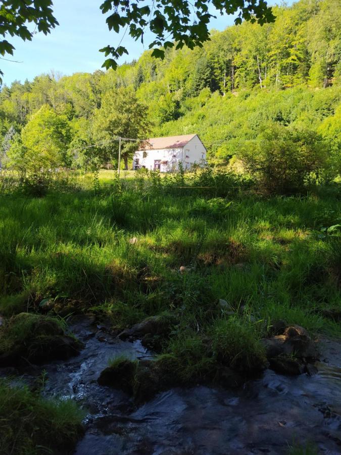 Bed and Breakfast La mansarde aux digitales à La Croix-aux-Mines Extérieur photo
