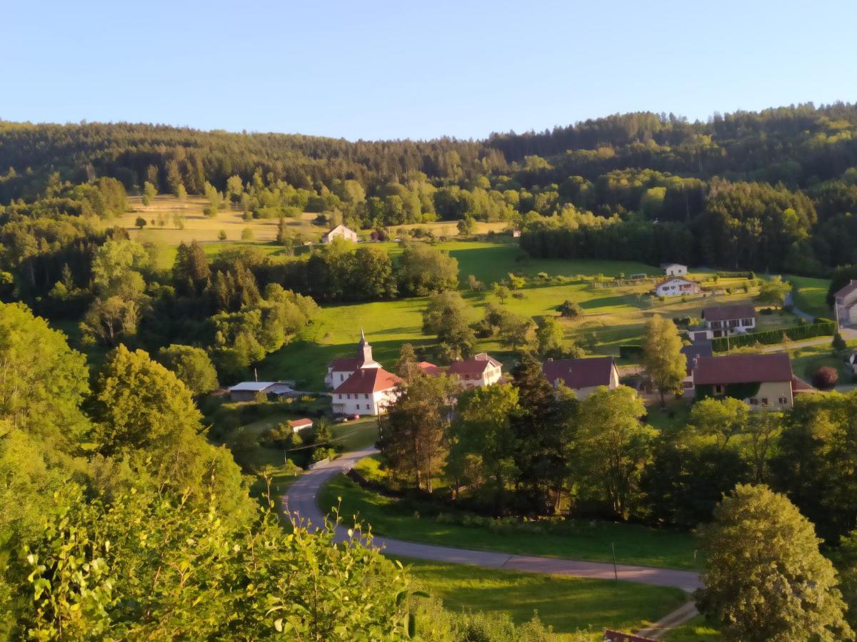Bed and Breakfast La mansarde aux digitales à La Croix-aux-Mines Extérieur photo