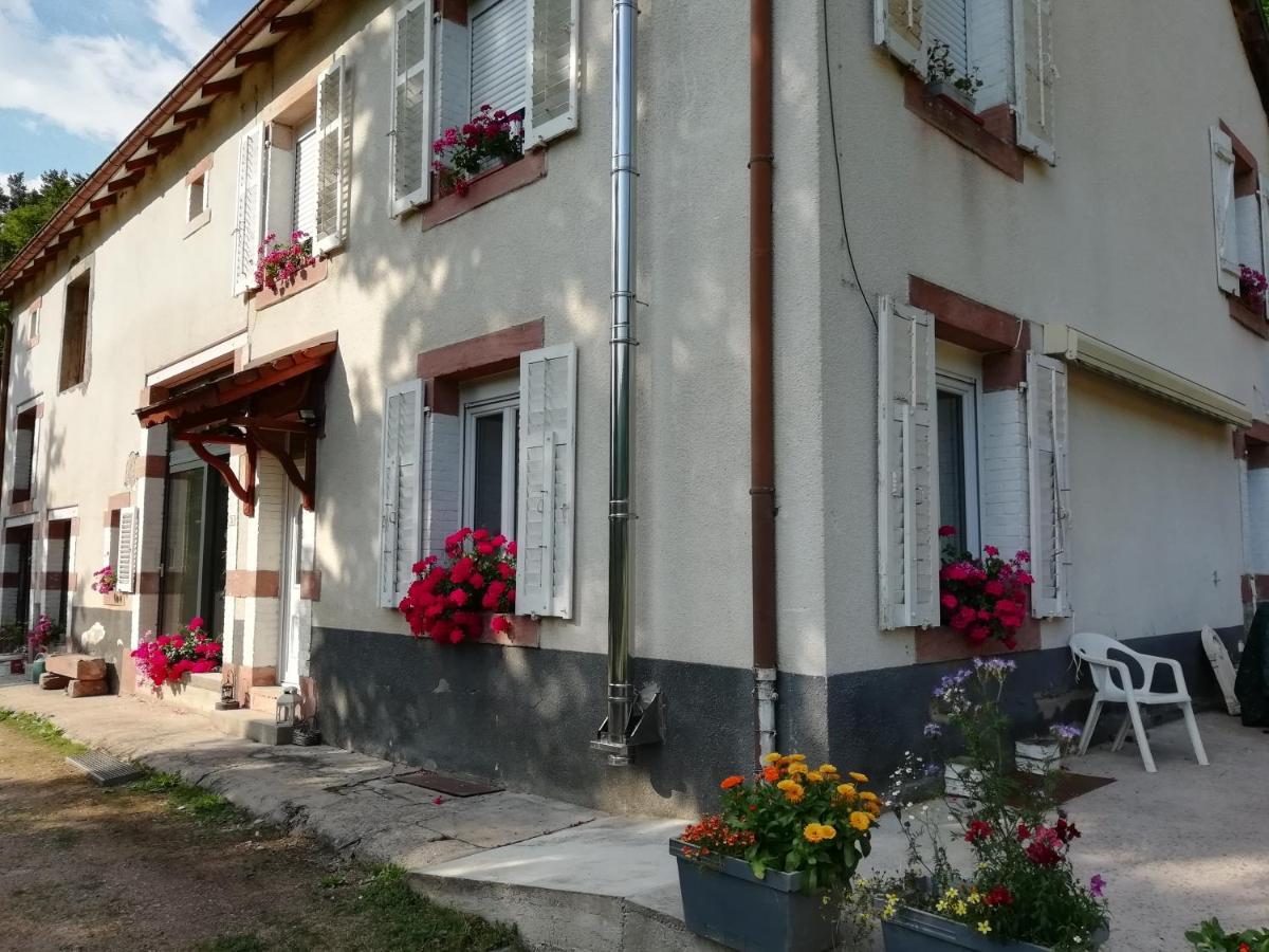 Bed and Breakfast La mansarde aux digitales à La Croix-aux-Mines Extérieur photo