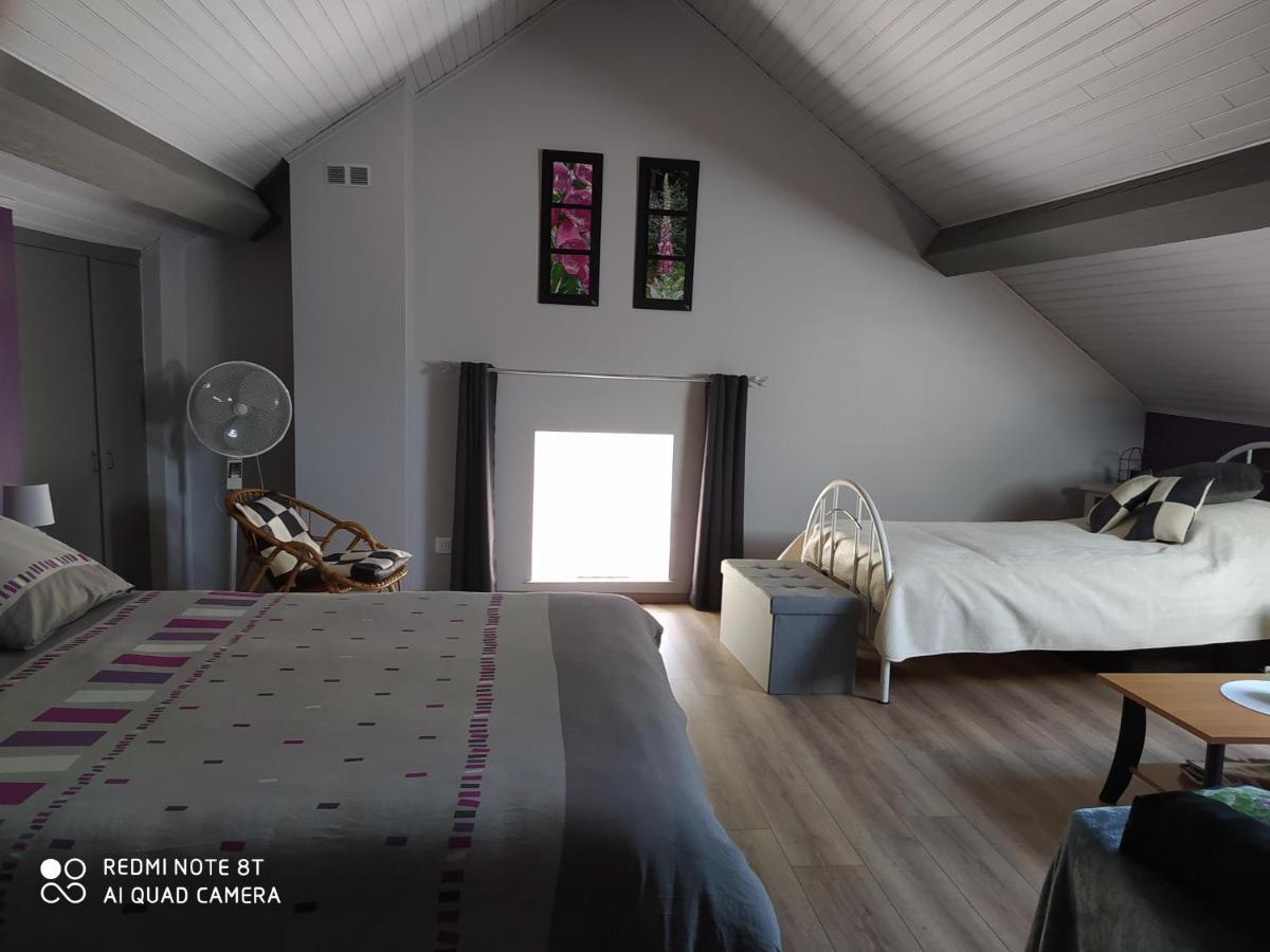 Bed and Breakfast La mansarde aux digitales à La Croix-aux-Mines Extérieur photo